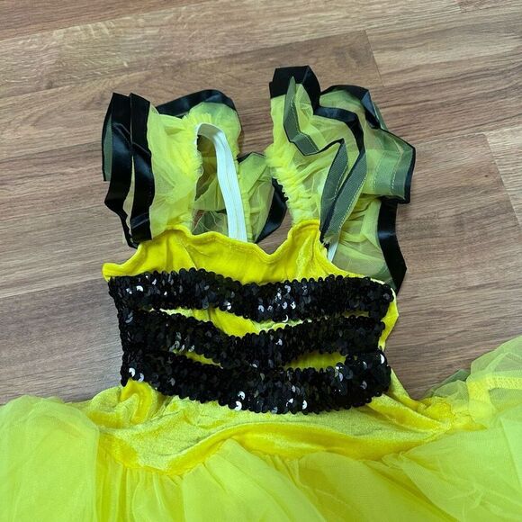 Bumble Bee Ballet Dress Costume Yellow and Black | Size 4 - Picture 2 of 10